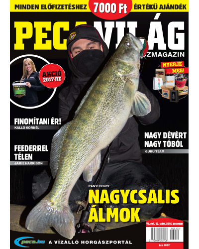 Pecavilág 2016/11.